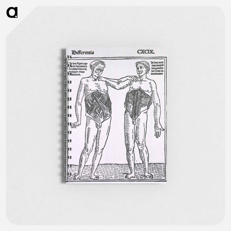 アートメモ帳-Abdominal Muscles
 - 国立医学図書館 Memo.