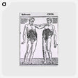 アートポストカード-Abdominal Muscles
 - 国立医学図書館 Postcard.
