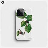 Black Mulberry - ピエール ジョゼフ ルドゥーテ Phone Case.