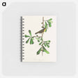 アートメモ帳-Roscoe's Yellow-throat from Birds of America
 - アメリカの鳥たち Memo.