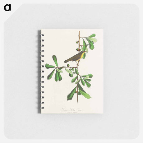 アートメモ帳-Roscoe's Yellow-throat from Birds of America
 - アメリカの鳥たち Memo.