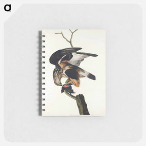 アートメモ帳-Rough-legged Falcon
 - ジョン ジェームス オーデュボン Memo.