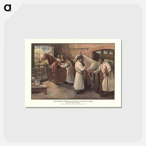 アートポストカード-Extraction of Diphtheria Serum from Horse Blood at the Behring Works, Marburg
 - 国立医学図書館 Postcard.