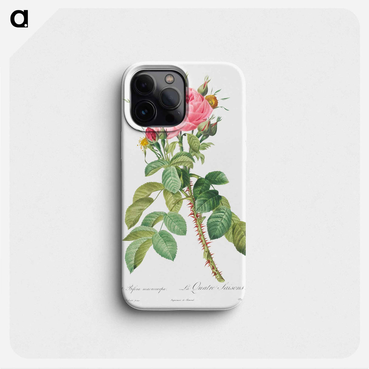 Rosa bifera macrocarpa also known as Lelieur's Four Seasons Rose - Pierre Joseph Redouté Phone Case.