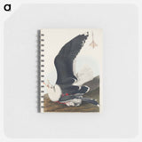 アートメモ帳-Black Backed Gull from Birds of America
 - アメリカの鳥たち Memo.