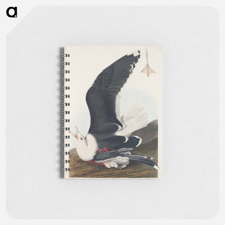 アートメモ帳-Black Backed Gull from Birds of America
 - アメリカの鳥たち Memo.