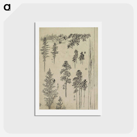 アートポストカード-Hokusai's Pine tree - 葛飾 北斎 Postcard.