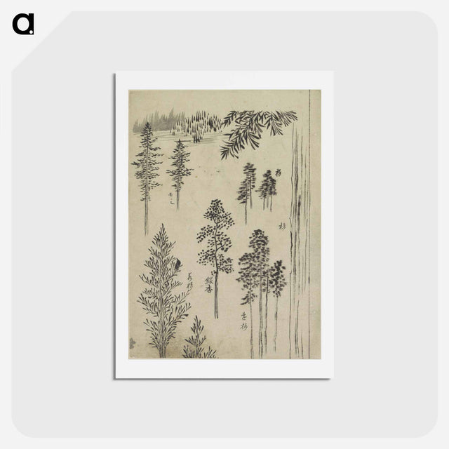 アートポストカード-Hokusai's Pine tree - 葛飾 北斎 Postcard.