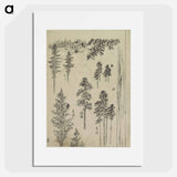 アートポスター-Hokusai's Pine tree - 葛飾 北斎 Poster.
