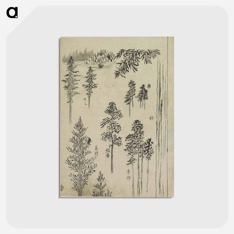 アートポストカード-Hokusai's Pine tree - 葛飾 北斎 Postcard.