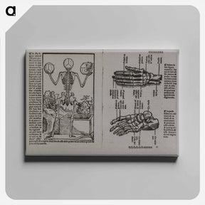 アートパネル-Skeletal Structure of the Human Body
 - 国立医学図書館 Canvas.