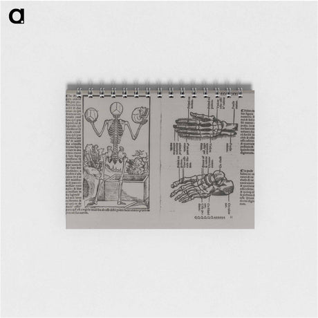 アートメモ帳-Skeletal Structure of the Human Body
 - 国立医学図書館 Memo.