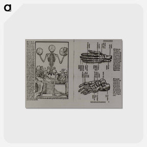 アートポストカード-Skeletal Structure of the Human Body
 - 国立医学図書館 Postcard.