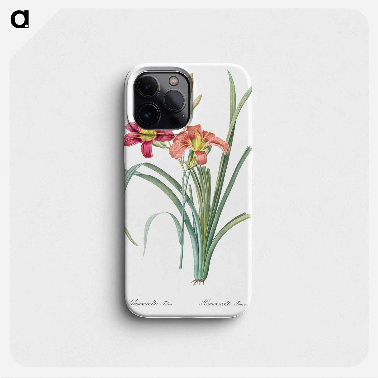 Orange day lily illustration - ピエール ジョゼフ ルドゥーテ Phone Case.