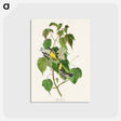 アートポストカード-Hemlock Warbler from Birds of America
 - アメリカの鳥たち Postcard.