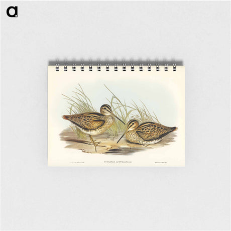 アートメモ帳-New Holland Snipe
 - オーストラリアの鳥 Memo.
