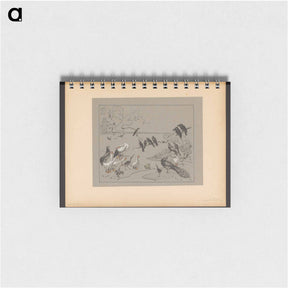 アートメモ帳-Groep diverse vogels en een kikker - テオ ヴァン ホイテマ Memo.