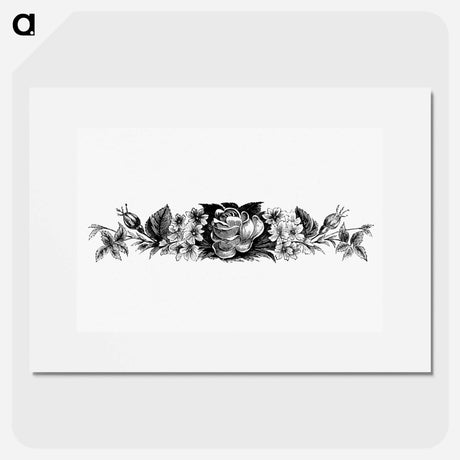 アートポスター-Victorian Blooming Flowers Engraving
 - 大英図書館 Poster.
