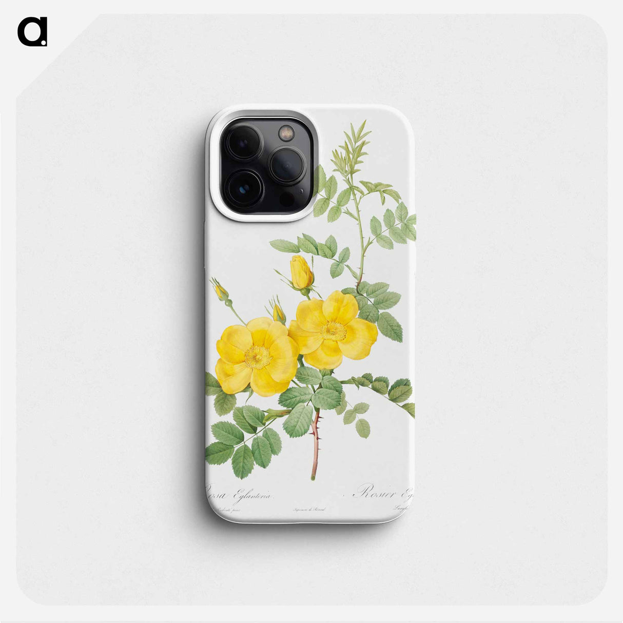 Sweetbriar Rose - ピエール ジョゼフ ルドゥーテ Phone Case.