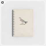 アートメモ帳-Cleveland Museum of Art
 - クリーブランド美術館 Memo.