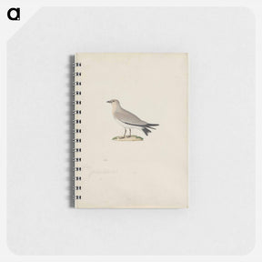 アートメモ帳-Cleveland Museum of Art
 - クリーブランド美術館 Memo.