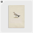 アートポストカード-Cleveland Museum of Art
 - クリーブランド美術館 Postcard.