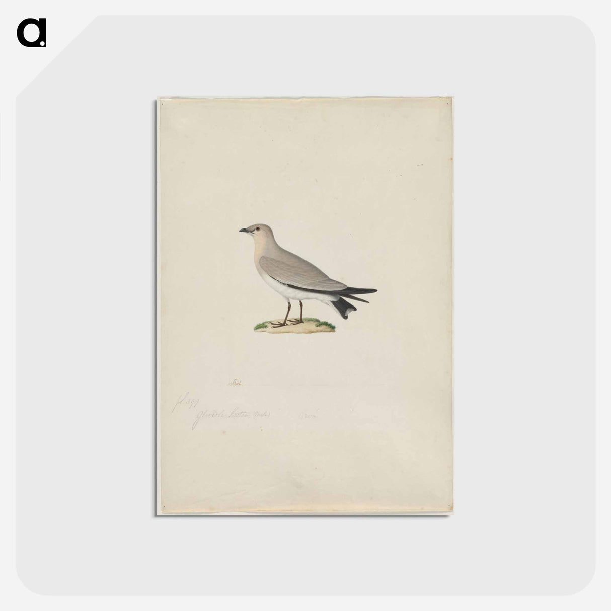 アートポストカード-Cleveland Museum of Art
 - クリーブランド美術館 Postcard.