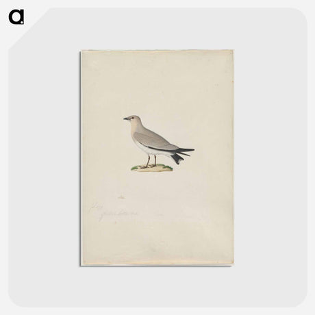 アートポストカード-Cleveland Museum of Art
 - クリーブランド美術館 Postcard.
