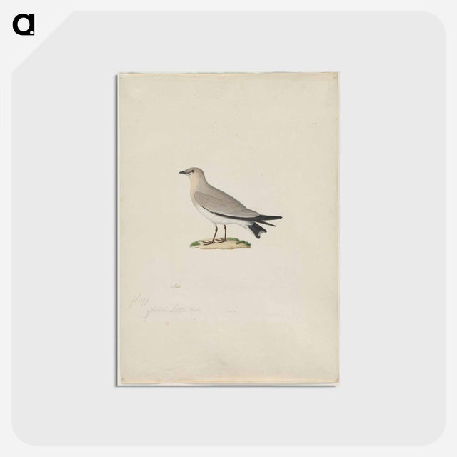 アートポストカード-Cleveland Museum of Art
 - クリーブランド美術館 Postcard.