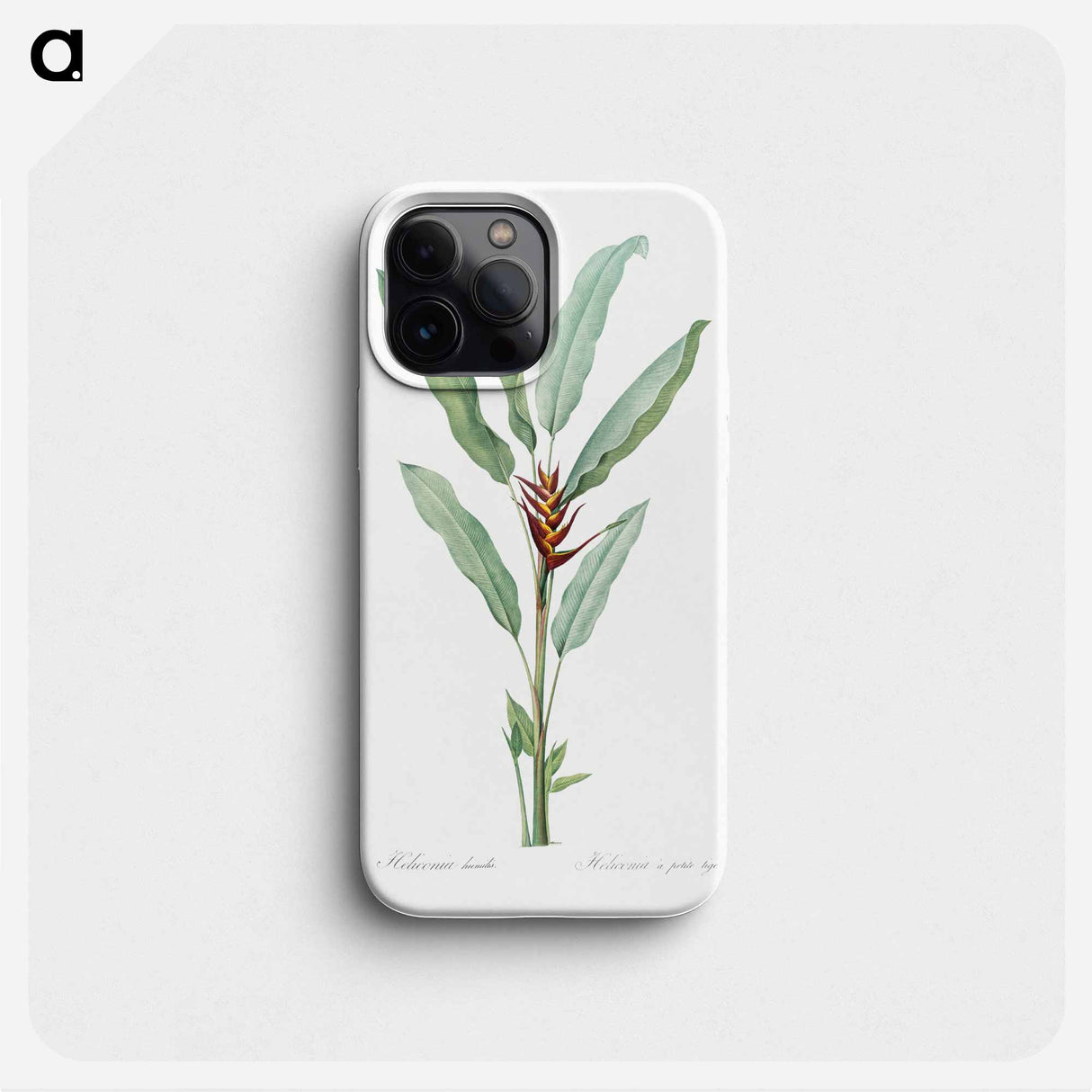 Parrot heliconia illustration - ピエール ジョゼフ ルドゥーテ Phone Case.