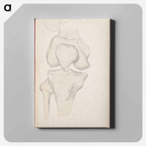 アートパネル-(unknown) part of a sketchbook - アルバート エーデルフェルト Canvas.