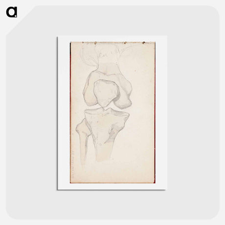 アートポストカード-(unknown) part of a sketchbook - アルバート エーデルフェルト Postcard.
