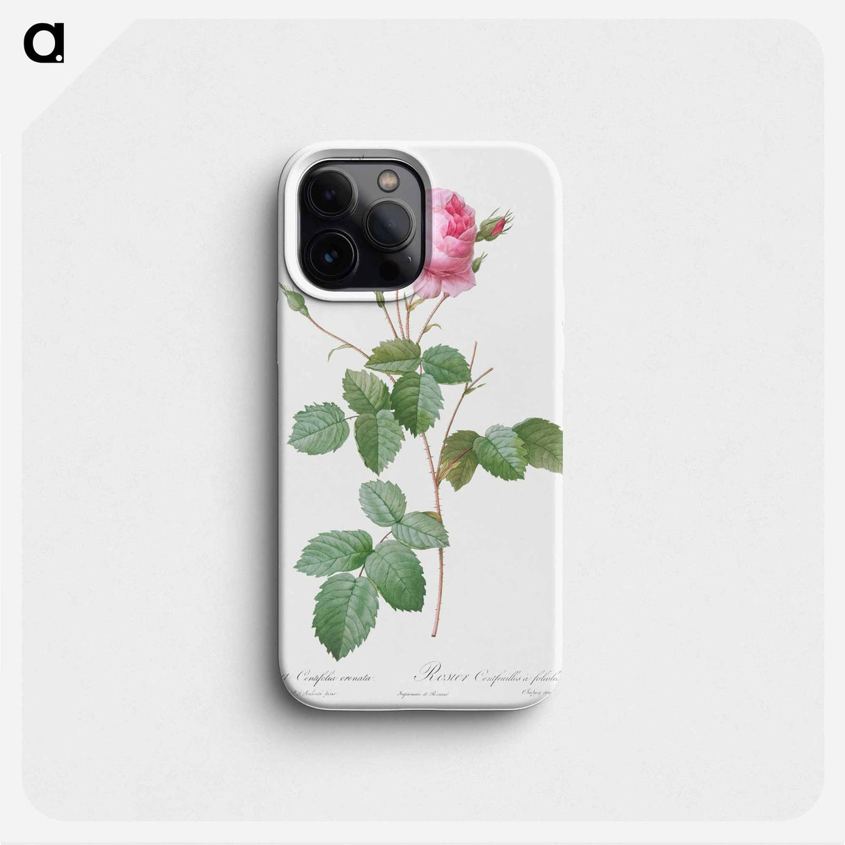 Crenate-Leaved Cabbage Rose - Pierre Joseph Redouté Phone Case.