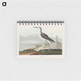 アートメモ帳-Greenshank from Birds of America
 - アメリカの鳥たち Memo.