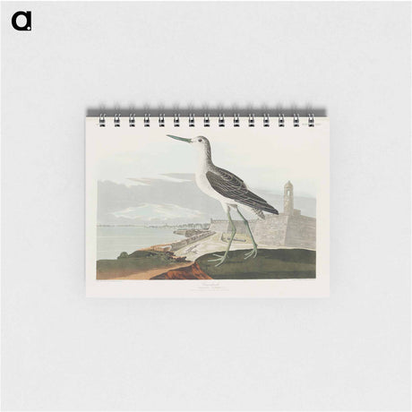 アートメモ帳-Greenshank from Birds of America
 - アメリカの鳥たち Memo.