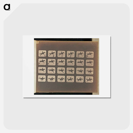 アートポストカード-Leaping
 - エドワード マイブリッジ Postcard.