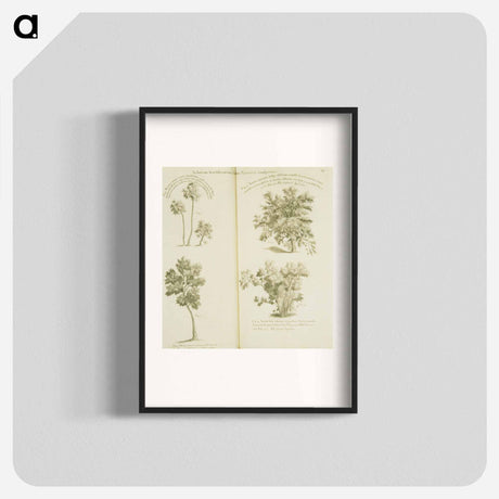 アートポスター-Arborum fructiferarum, insulae, Jamaicae conspectus
 - 国立医学図書館 Poster.