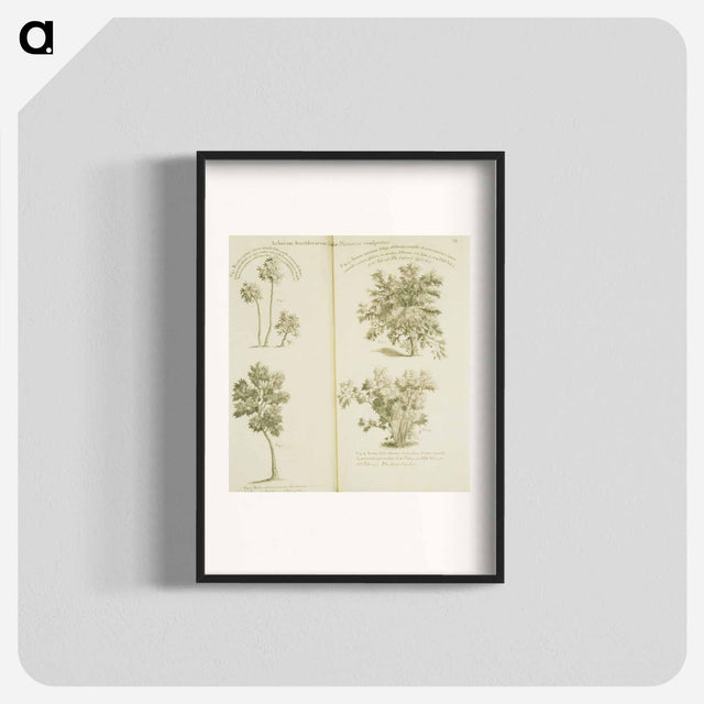 アートポスター-Arborum fructiferarum, insulae, Jamaicae conspectus
 - 国立医学図書館 Poster.
