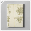アートパネル-Arborum fructiferarum, insulae, Jamaicae conspectus
 - 国立医学図書館 Canvas.