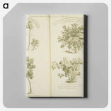 アートパネル-Arborum fructiferarum, insulae, Jamaicae conspectus
 - 国立医学図書館 Canvas.