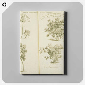 アートパネル-Arborum fructiferarum, insulae, Jamaicae conspectus
 - 国立医学図書館 Canvas.