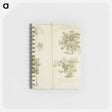 アートメモ帳-Arborum fructiferarum, insulae, Jamaicae conspectus
 - 国立医学図書館 Memo.