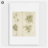 アートポスター-Arborum fructiferarum, insulae, Jamaicae conspectus
 - 国立医学図書館 Poster.