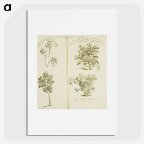 アートポスター-Arborum fructiferarum, insulae, Jamaicae conspectus
 - 国立医学図書館 Poster.