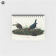 アートメモ帳-Cow-pen Bird from Birds of America
 - アメリカの鳥たち Memo.