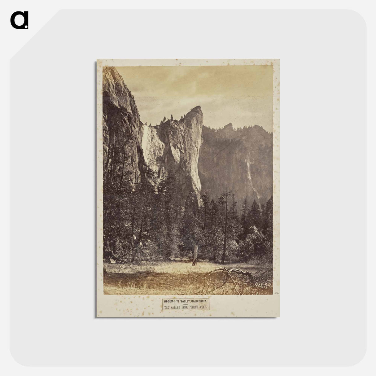アートポストカード-Yo-Sem-i-te Valley, California
 - エドワード マイブリッジ Postcard.