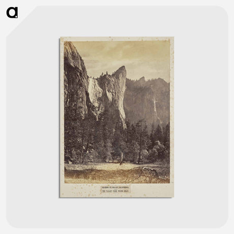 アートポストカード-Yo-Sem-i-te Valley, California
 - エドワード マイブリッジ Postcard.