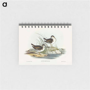アートメモ帳-Fairy Sandpiper
 - ジョン グールド Memo.
