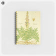 アートメモ帳-Acanthus vera and Welsch Bernklaw
 - 国立医学図書館 Memo.