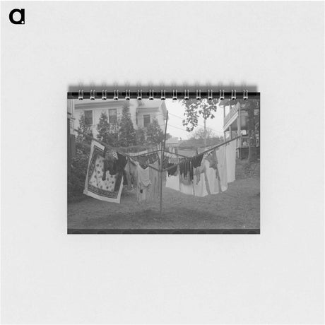 アートメモ帳-Cactus in Bloom, Graham County
 - ラッセル リー Memo.